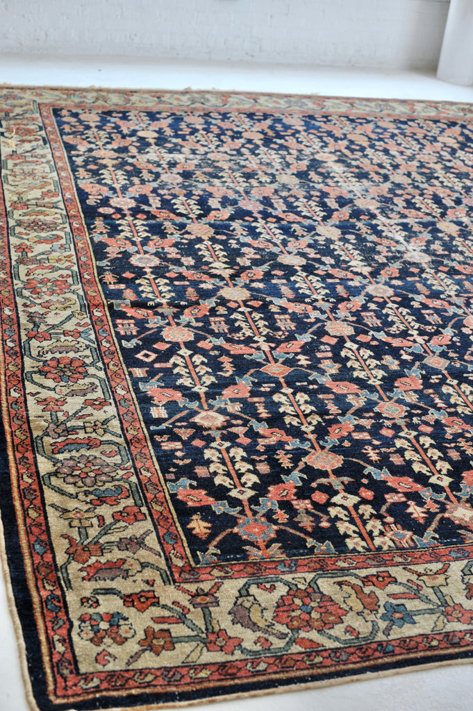 ABSOLUTE DIVINE Antique Bibikibad Rug | Ancient Lattice Design with a Border from Another UNIVERSE |   9.11 x 12.6