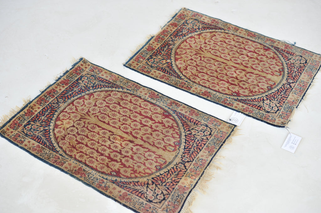 RARE TWIN SISTER Tree of Life Antique Rugs / Mats | A Pair of Unbelievable Weeping Willow Tree of Life Antique Rug Mats  | ~ 1.9 x 2.6