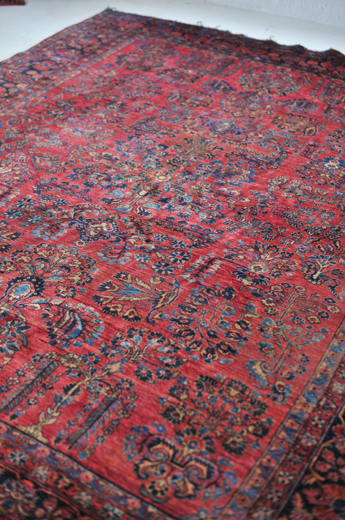 SOLD | Fantastic Blush Botanical Beauty Antique Rug | ~ 8.5 x 11