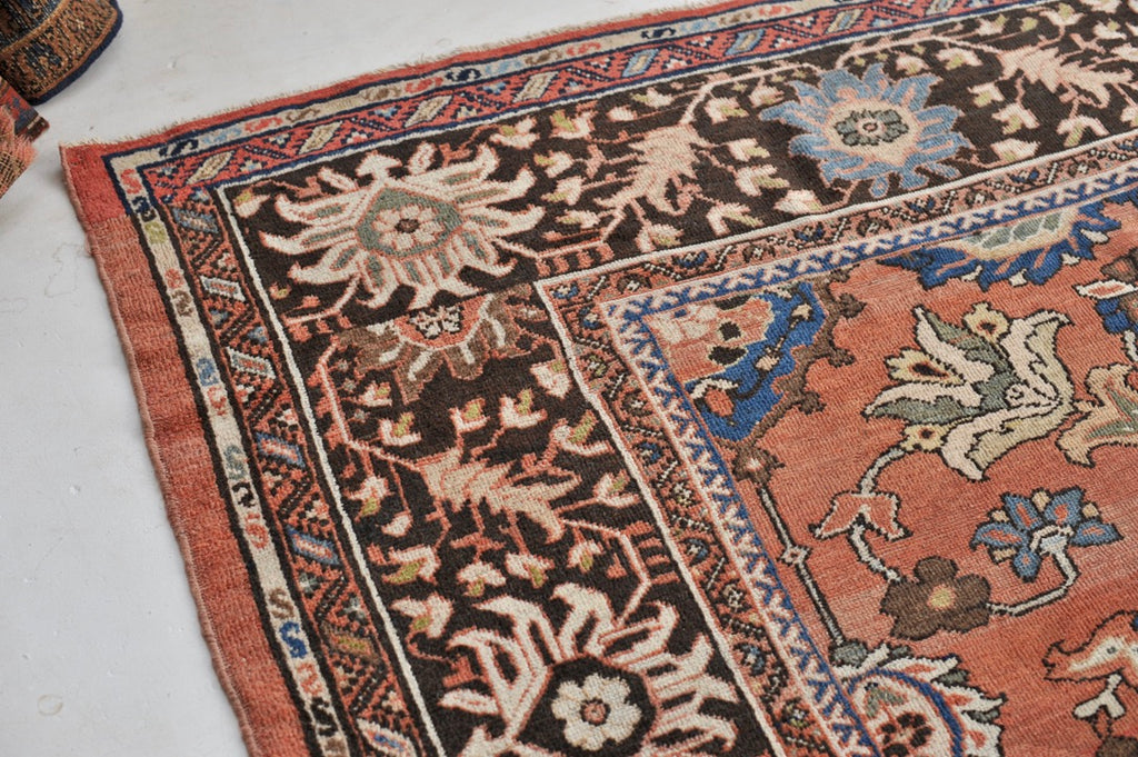 SOLD | MAGNIFICENT Antique Mahal with Naive Botanical Drawing | Truly Gorgeous Hues with Muted Apricot, Terracotta, Salmon, Clay, Rust | ~ 10.5 x 14