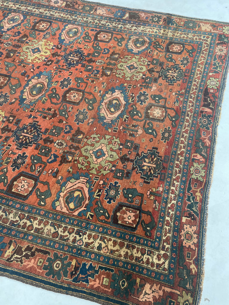 "What You Seek is Seeking You" - RUMI | MYSTICAL Mint Condition Villlage Carpet Antique Halvai Bidjar | Vivid Dyes with Rare Lime Green | 7.8 x 10.9
