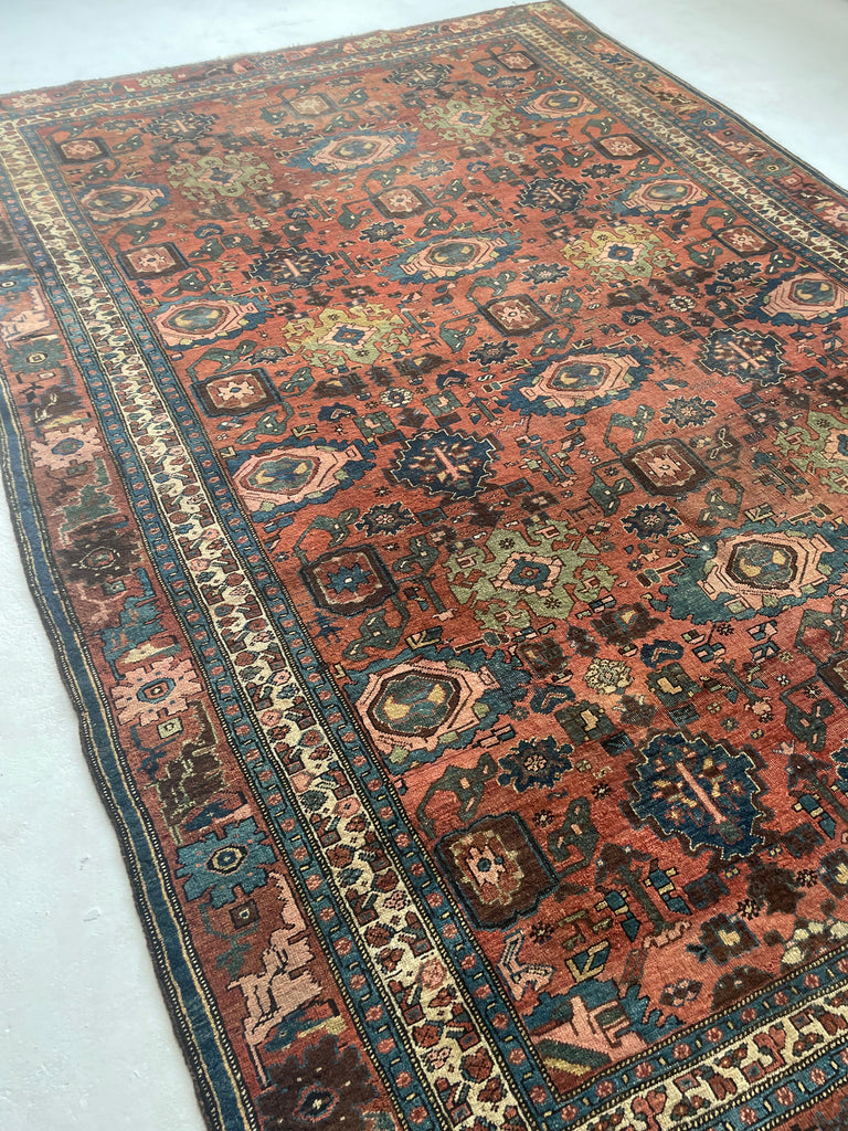 "What You Seek is Seeking You" - RUMI | MYSTICAL Mint Condition Villlage Carpet Antique Halvai Bidjar | Vivid Dyes with Rare Lime Green | 7.8 x 10.9