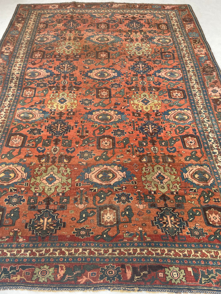 "What You Seek is Seeking You" - RUMI | MYSTICAL Mint Condition Villlage Carpet Antique Halvai Bidjar | Vivid Dyes with Rare Lime Green | 7.8 x 10.9