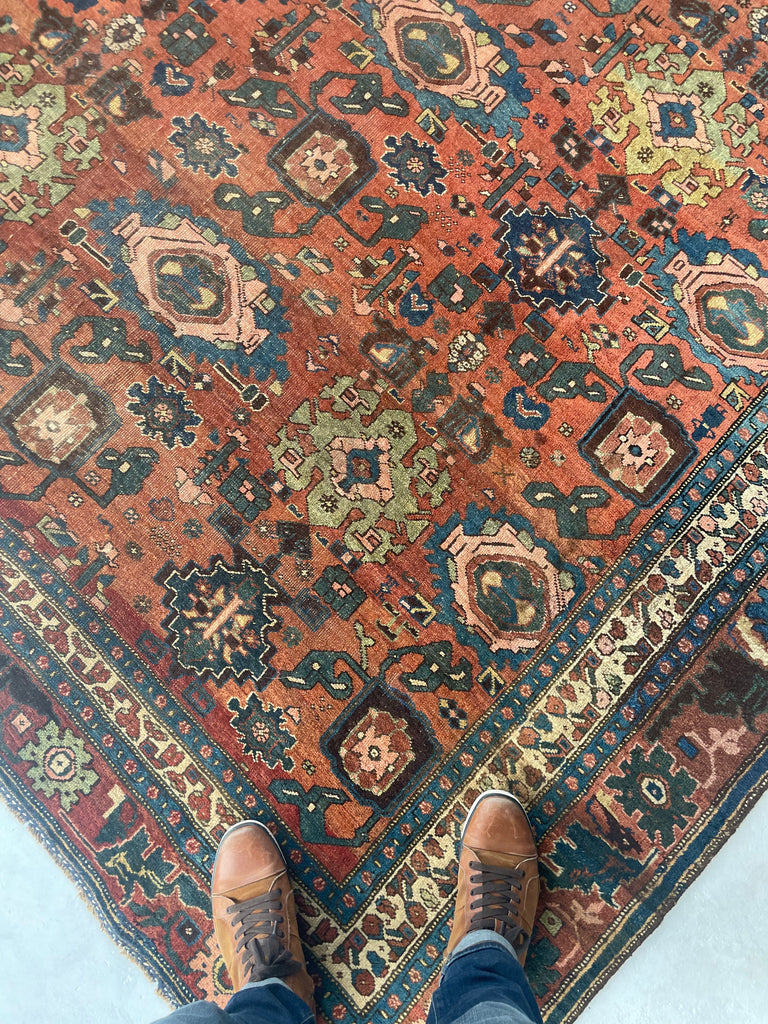 "What You Seek is Seeking You" - RUMI | MYSTICAL Mint Condition Villlage Carpet Antique Halvai Bidjar | Vivid Dyes with Rare Lime Green | 7.8 x 10.9