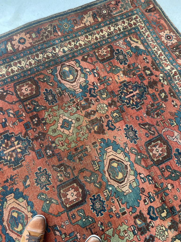 "What You Seek is Seeking You" - RUMI | MYSTICAL Mint Condition Villlage Carpet Antique Halvai Bidjar | Vivid Dyes with Rare Lime Green | 7.8 x 10.9