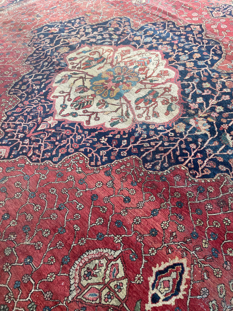 SOPHISTICATED Old-World Antique Ferahan Sarouk | Dainty Flora & Suspended Vines | 10.5 x 13.3