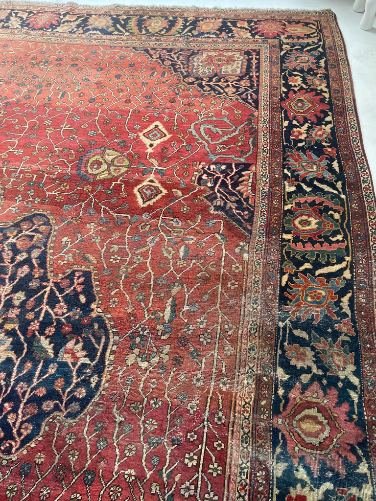 SOPHISTICATED Old-World Antique Ferahan Sarouk | Dainty Flora & Suspended Vines | 10.5 x 13.3