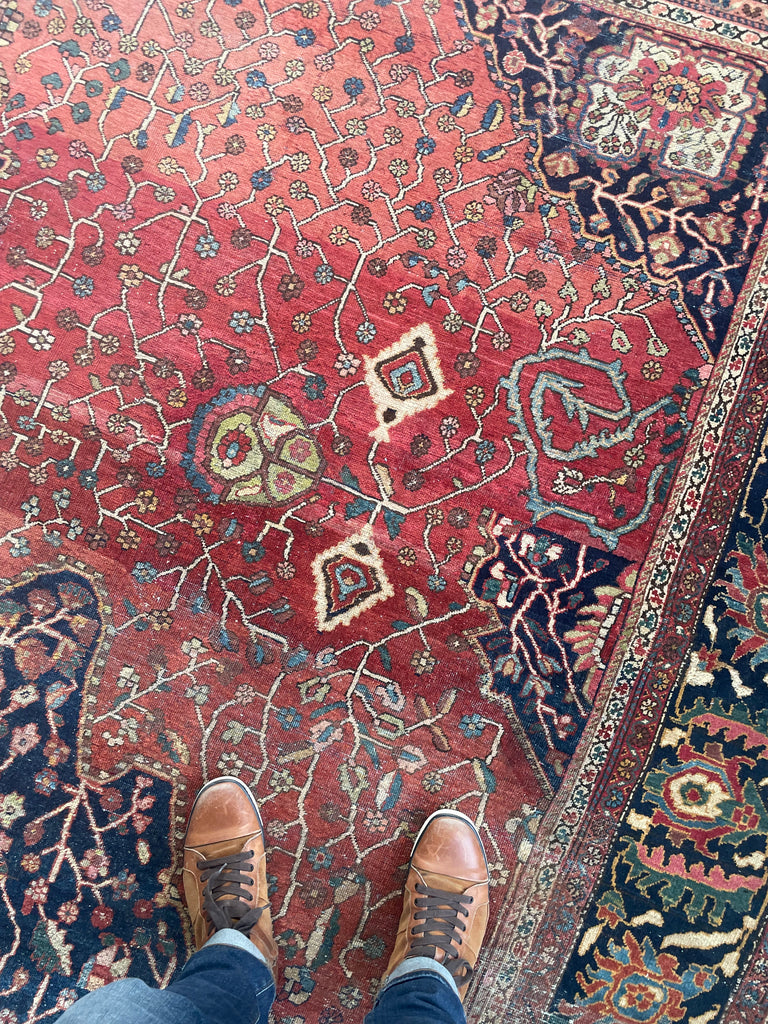 SOPHISTICATED Old-World Antique Ferahan Sarouk | Dainty Flora & Suspended Vines | 10.5 x 13.3