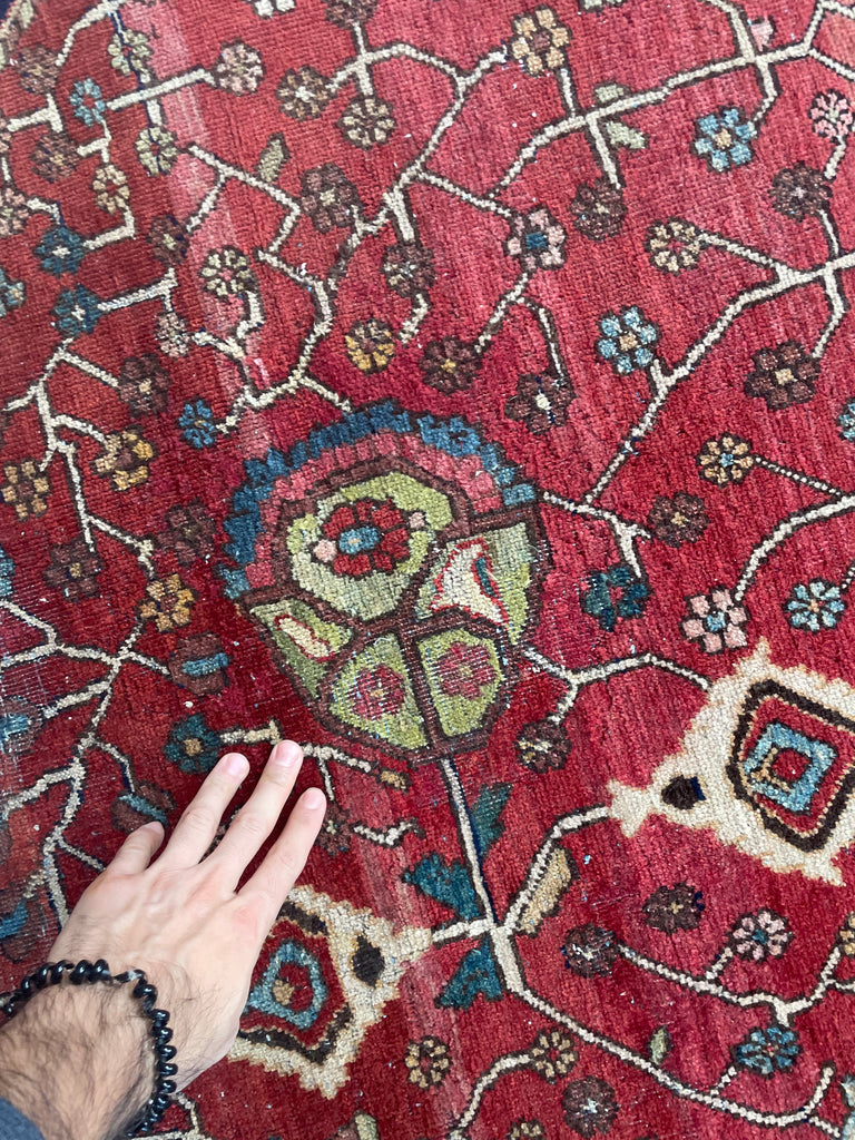 SOPHISTICATED Old-World Antique Ferahan Sarouk | Dainty Flora & Suspended Vines | 10.5 x 13.3