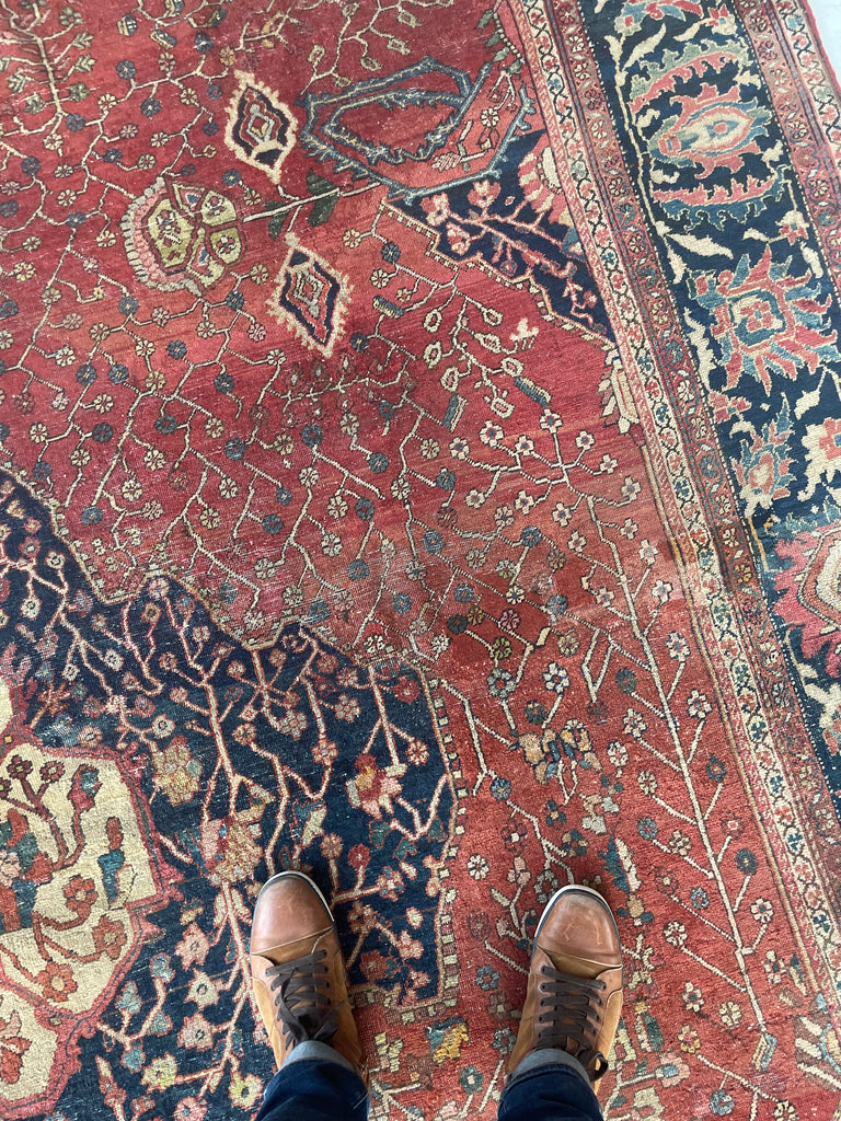 SOPHISTICATED Old-World Antique Ferahan Sarouk | Dainty Flora & Suspended Vines | 10.5 x 13.3