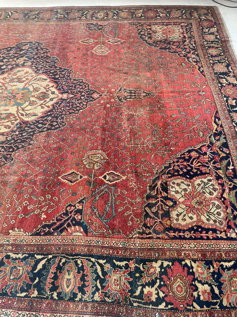SOPHISTICATED Old-World Antique Ferahan Sarouk | Dainty Flora & Suspended Vines | 10.5 x 13.3