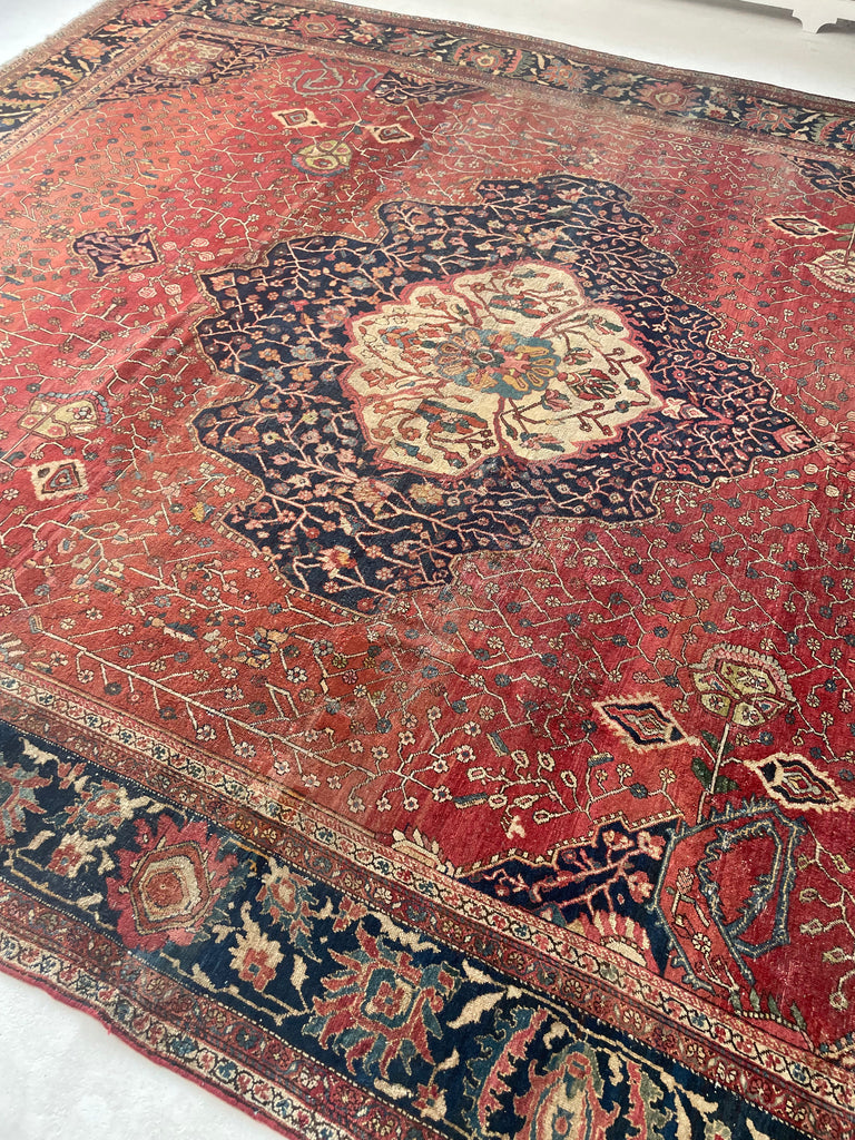 SOPHISTICATED Old-World Antique Ferahan Sarouk | Dainty Flora & Suspended Vines | 10.5 x 13.3