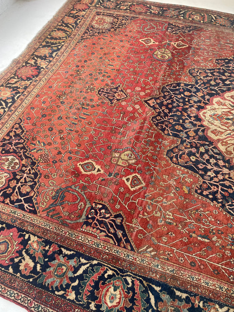 SOPHISTICATED Old-World Antique Ferahan Sarouk | Dainty Flora & Suspended Vines | 10.5 x 13.3