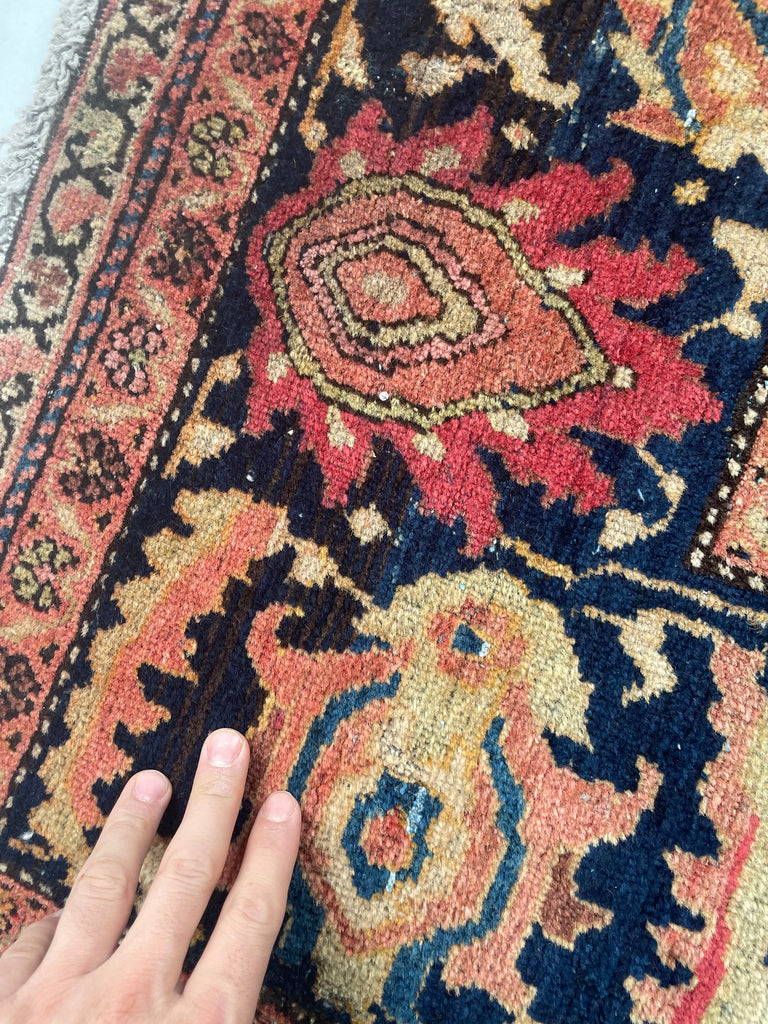 SOPHISTICATED Old-World Antique Ferahan Sarouk | Dainty Flora & Suspended Vines | 10.5 x 13.3