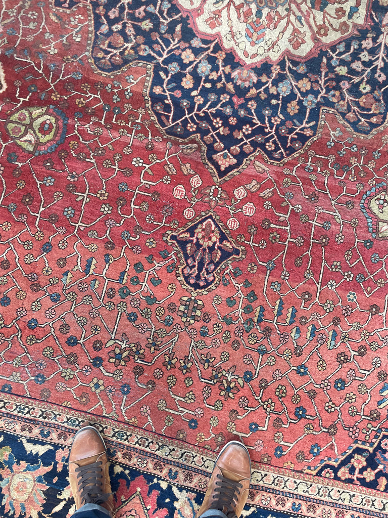 SOPHISTICATED Old-World Antique Ferahan Sarouk | Dainty Flora & Suspended Vines | 10.5 x 13.3