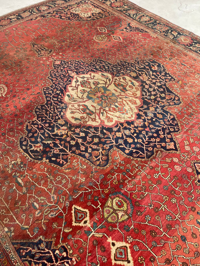 SOPHISTICATED Old-World Antique Ferahan Sarouk | Dainty Flora & Suspended Vines | 10.5 x 13.3