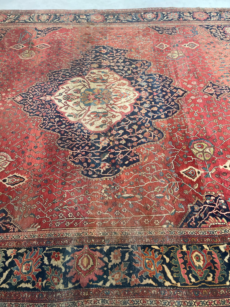 SOPHISTICATED Old-World Antique Ferahan Sarouk | Dainty Flora & Suspended Vines | 10.5 x 13.3