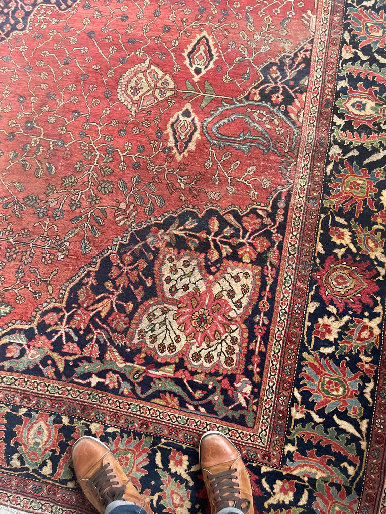 SOPHISTICATED Old-World Antique Ferahan Sarouk | Dainty Flora & Suspended Vines | 10.5 x 13.3