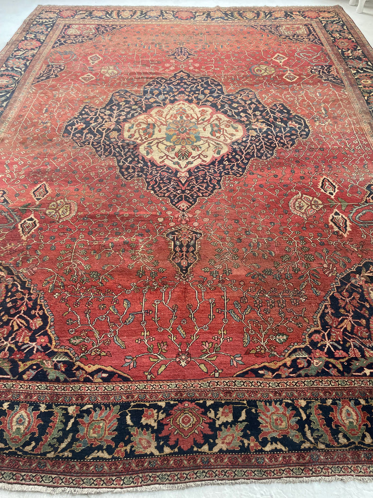 SOPHISTICATED Old-World Antique Ferahan Sarouk | Dainty Flora & Suspended Vines | 10.5 x 13.3