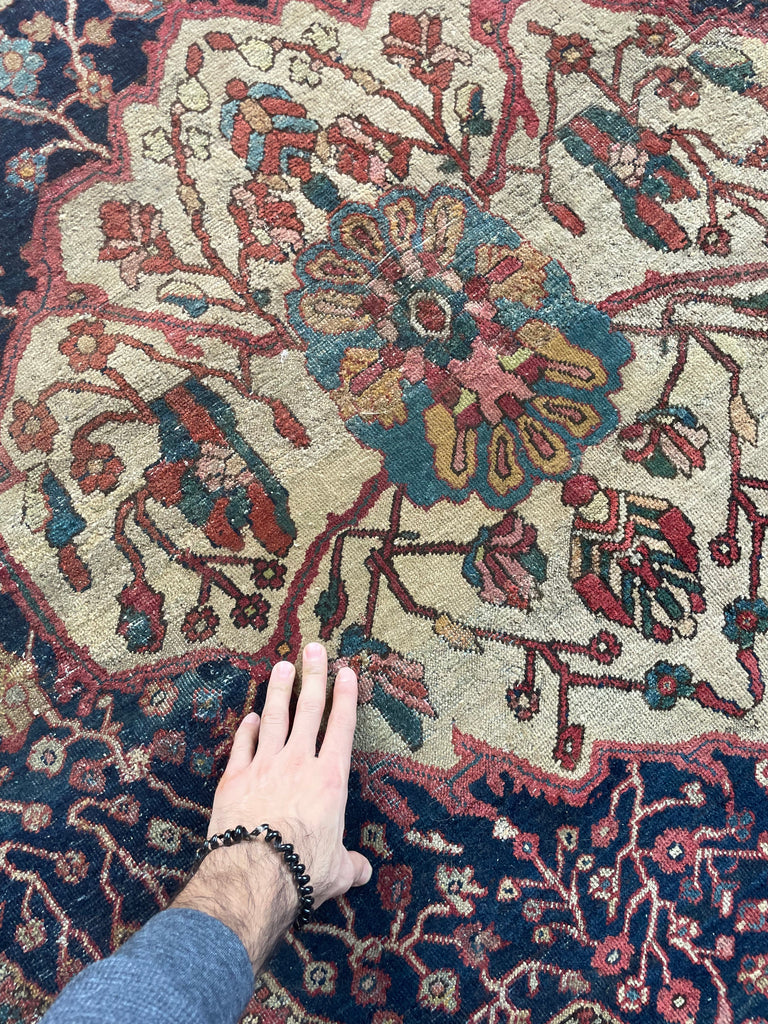 SOPHISTICATED Old-World Antique Ferahan Sarouk | Dainty Flora & Suspended Vines | 10.5 x 13.3