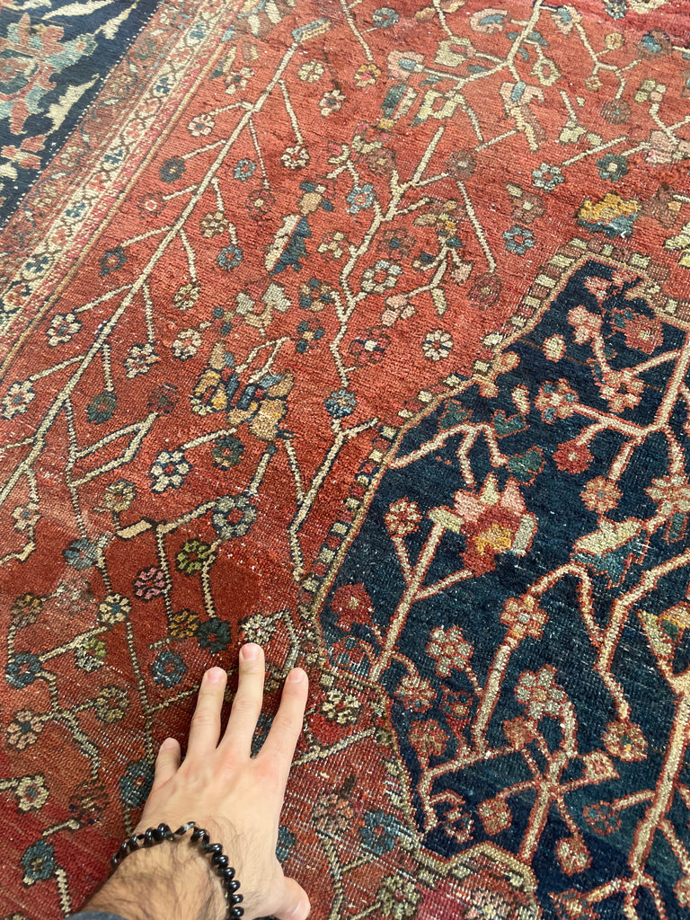 SOPHISTICATED Old-World Antique Ferahan Sarouk | Dainty Flora & Suspended Vines | 10.5 x 13.3