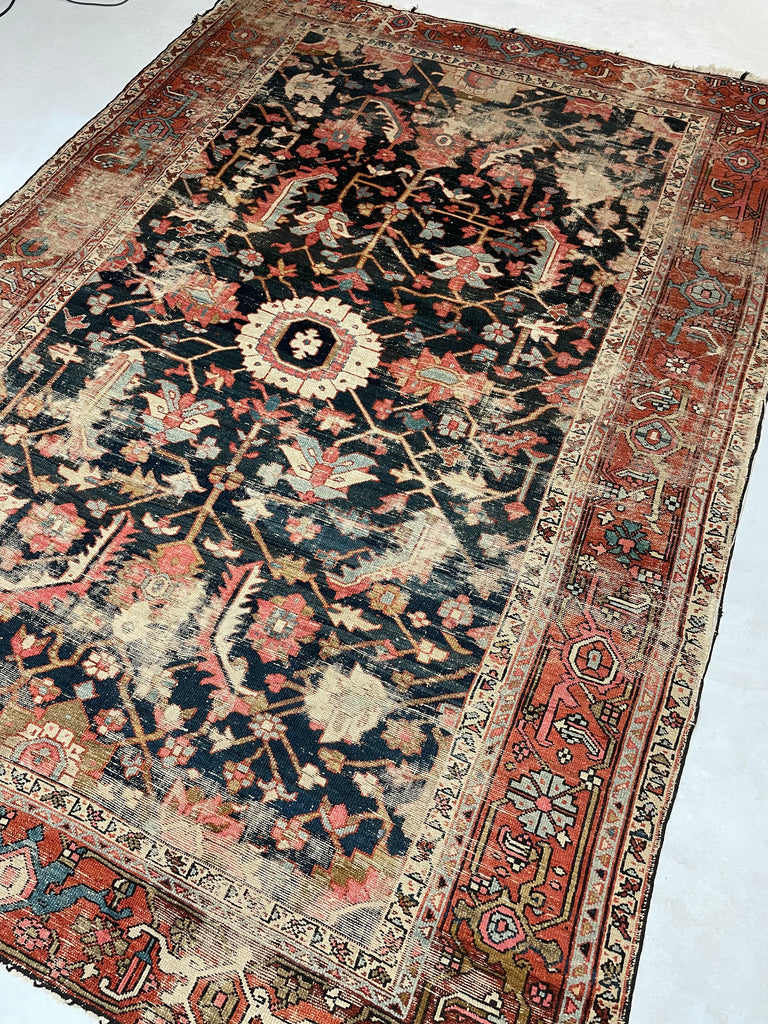 HIGHLY-COVETED Antique Midnight Blue-Black Indigo Blooming Jungle | Coral, Bakshayesh Blue, Camel, Raspberry | 8 x 11