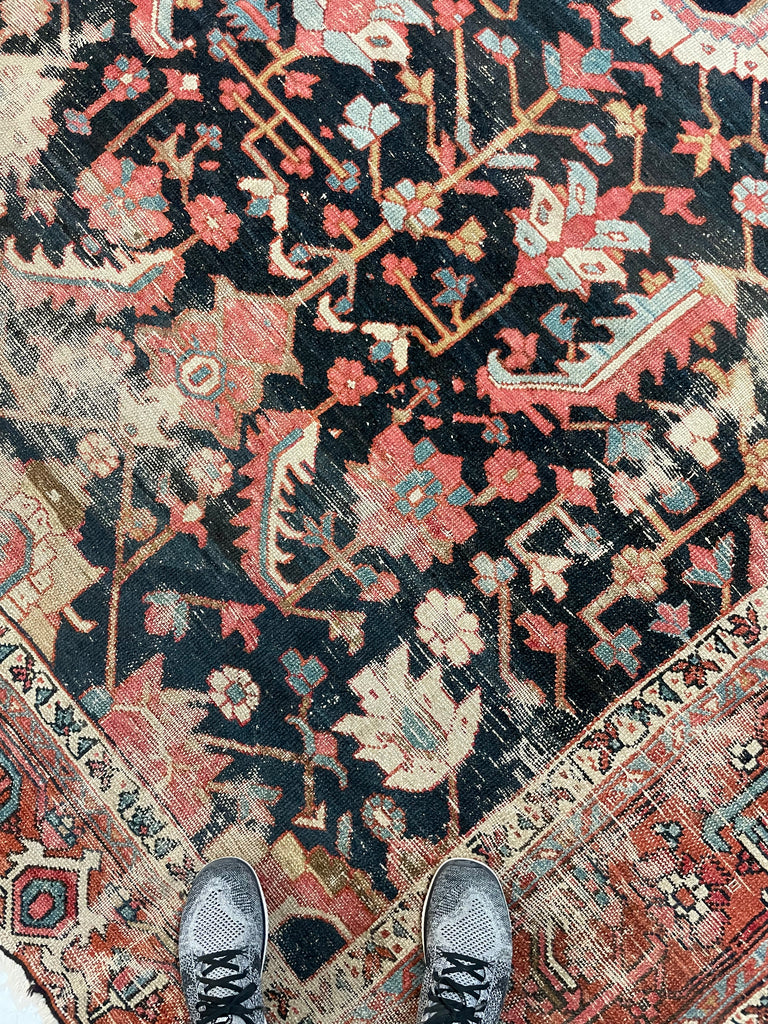 HIGHLY-COVETED Antique Midnight Blue-Black Indigo Blooming Jungle | Coral, Bakshayesh Blue, Camel, Raspberry | 8 x 11
