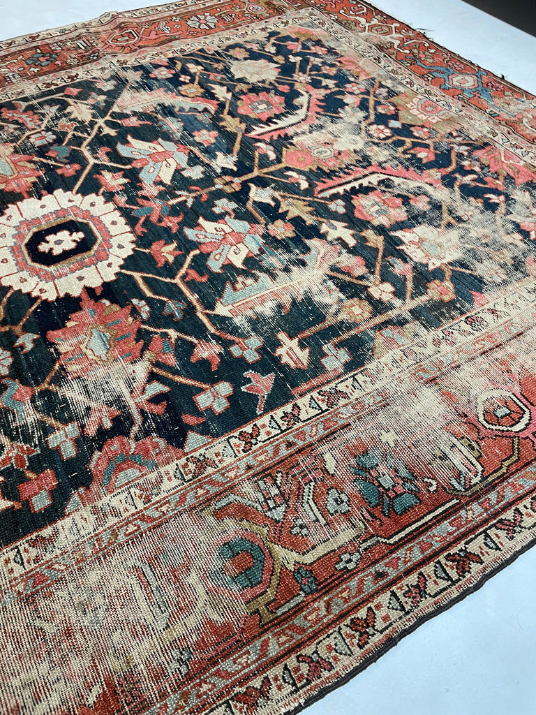 HIGHLY-COVETED Antique Midnight Blue-Black Indigo Blooming Jungle | Coral, Bakshayesh Blue, Camel, Raspberry | 8 x 11