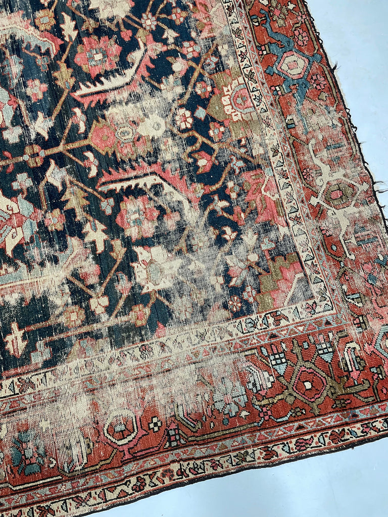 HIGHLY-COVETED Antique Midnight Blue-Black Indigo Blooming Jungle | Coral, Bakshayesh Blue, Camel, Raspberry | 8 x 11