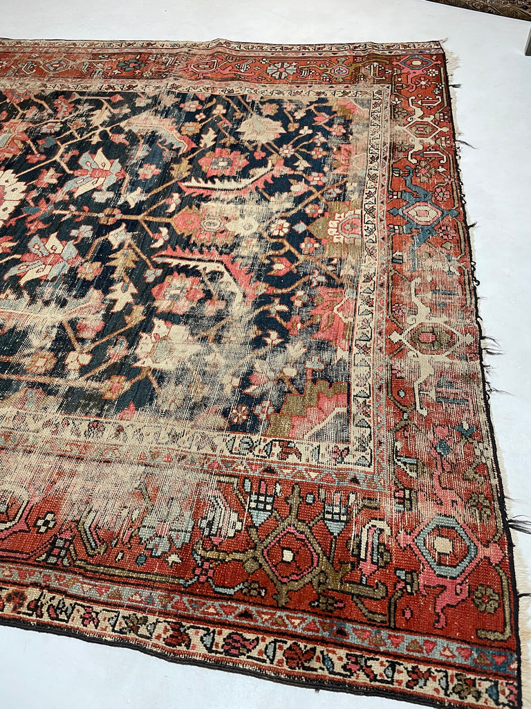HIGHLY-COVETED Antique Midnight Blue-Black Indigo Blooming Jungle | Coral, Bakshayesh Blue, Camel, Raspberry | 8 x 11