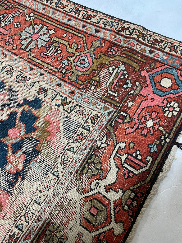 HIGHLY-COVETED Antique Midnight Blue-Black Indigo Blooming Jungle | Coral, Bakshayesh Blue, Camel, Raspberry | 8 x 11