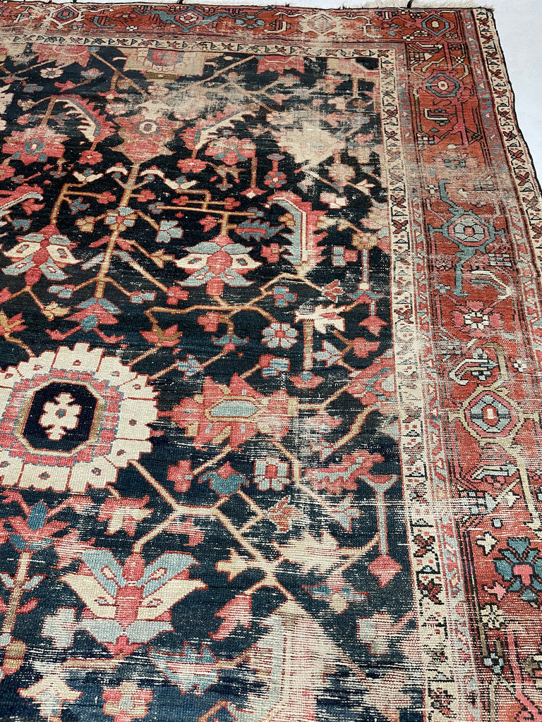 HIGHLY-COVETED Antique Midnight Blue-Black Indigo Blooming Jungle | Coral, Bakshayesh Blue, Camel, Raspberry | 8 x 11