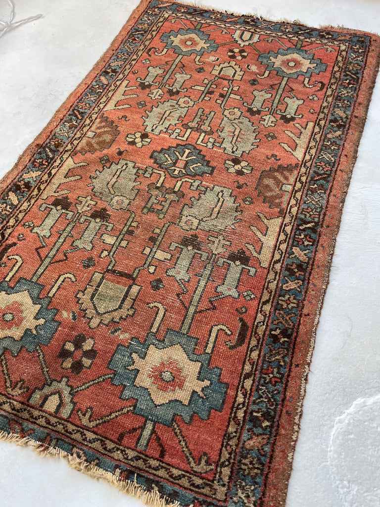 SOLD | Mystical Antique Rug | Earthy Terracotta & Corals with Seafoam & Ice | 2.8 x 4.6