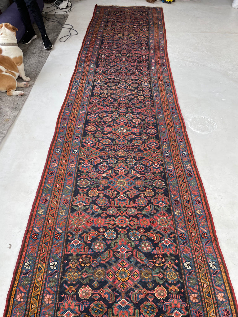 COLORFUL Antique Kurdish Runner | Saffron, Green, Punch, Blue, & Beyond | 3.7 x 17