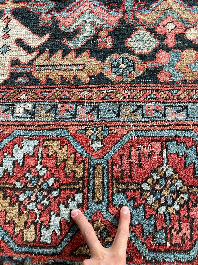 AMAZING Antique Rug BLOOMING MIDNIGHT JUNGLE Antique Rug  | Unbelievable Color Palette | 8 x 11.2