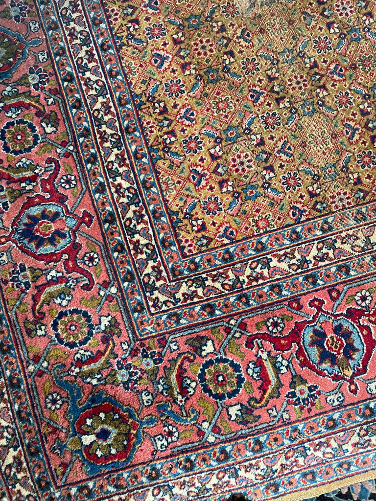 MUSTARD SAFFRON & SALMON Designer Antique Tabriz in Herati Design  | 9.3. x 12.3