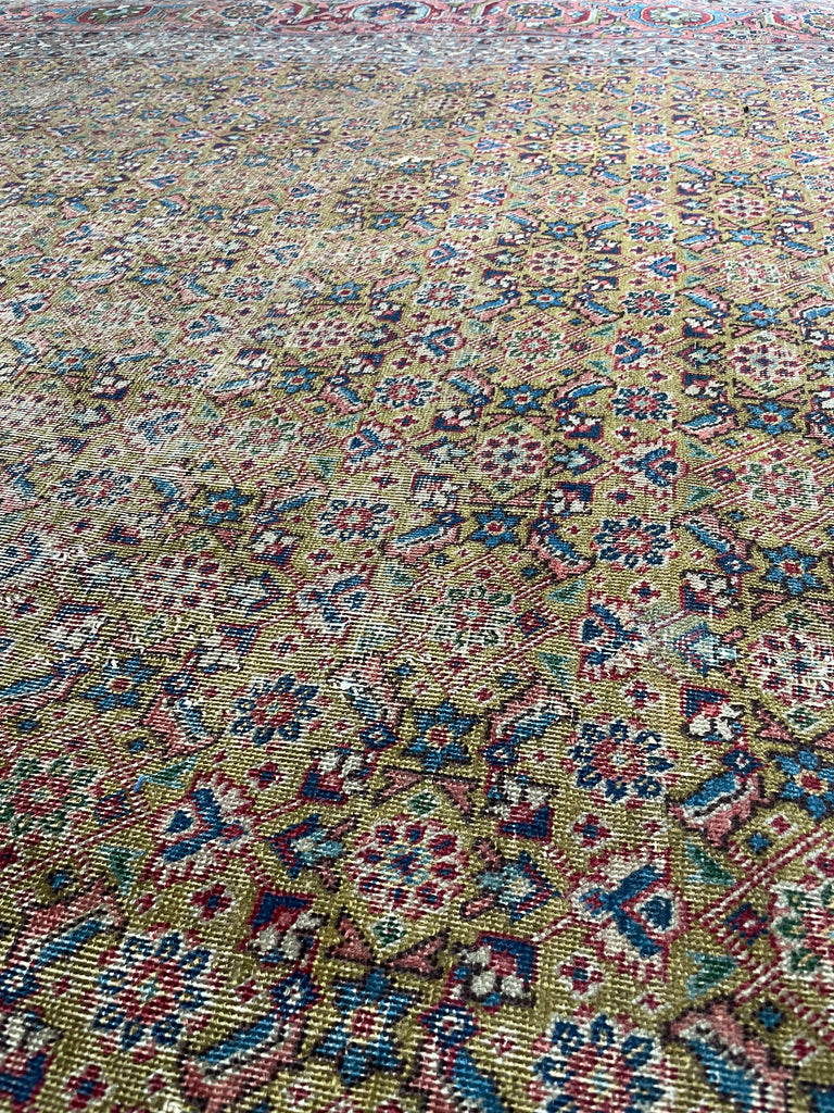 MUSTARD SAFFRON & SALMON Designer Antique Tabriz in Herati Design  | 9.3. x 12.3