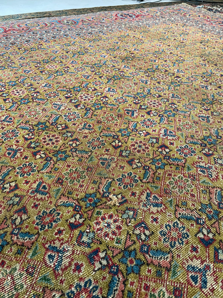 MUSTARD SAFFRON & SALMON Designer Antique Tabriz in Herati Design  | 9.3. x 12.3