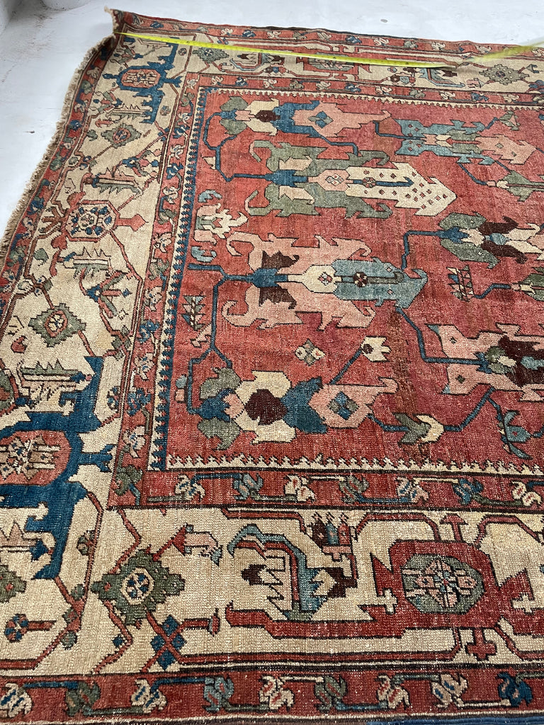 RAREST OF RARE | C. 1880's | ANCIENT MINT CONDITION ANTIQUE SERAPI | Unusually Oversized Narrow GEM w/ Gorg Natural Dyes | 8.10 x 15.1