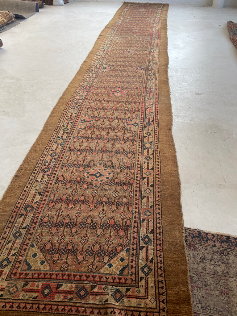 RESERVED FOR JDID*** PURE RAW CAMEL HAIR Oversized Antique Runner | Nomadic Northwest Persian BEAUTY | Camel, Merlot, Indigo, Blush, Rose, Salmon, Lavender | 3.6 x 20.6