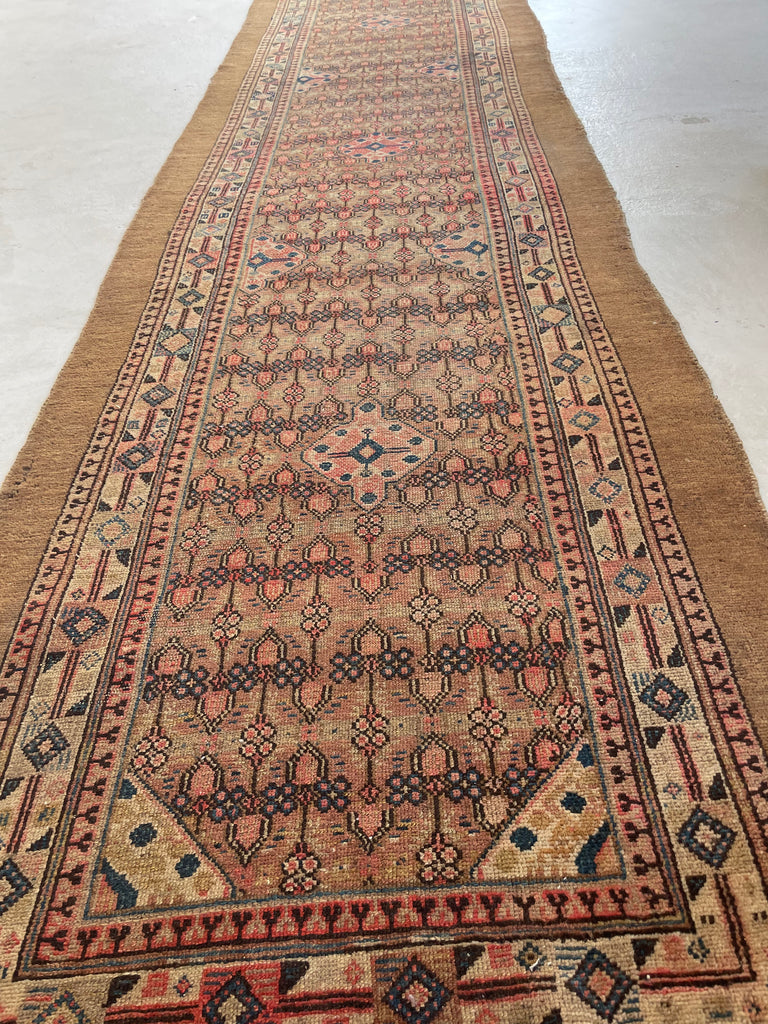 RESERVED FOR JDID*** PURE RAW CAMEL HAIR Oversized Antique Runner | Nomadic Northwest Persian BEAUTY | Camel, Merlot, Indigo, Blush, Rose, Salmon, Lavender | 3.6 x 20.6