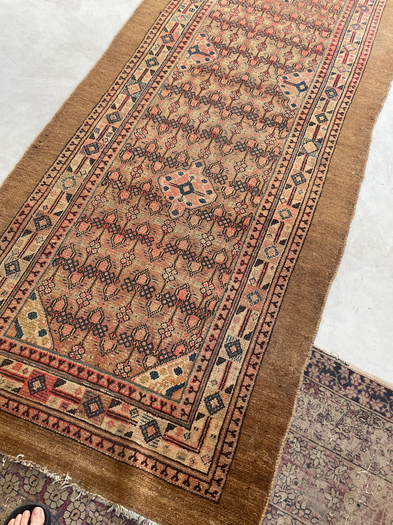 RESERVED FOR JDID*** PURE RAW CAMEL HAIR Oversized Antique Runner | Nomadic Northwest Persian BEAUTY | Camel, Merlot, Indigo, Blush, Rose, Salmon, Lavender | 3.6 x 20.6