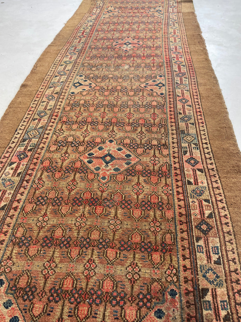 RESERVED FOR JDID*** PURE RAW CAMEL HAIR Oversized Antique Runner | Nomadic Northwest Persian BEAUTY | Camel, Merlot, Indigo, Blush, Rose, Salmon, Lavender | 3.6 x 20.6