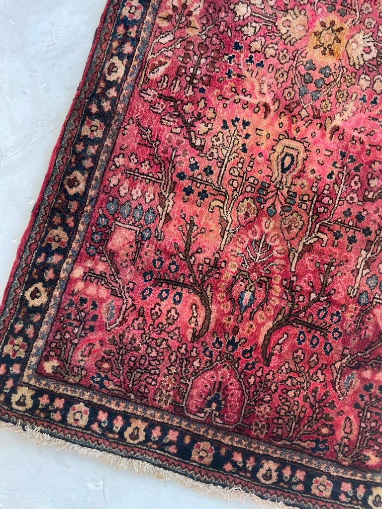 SOLD | LOVELY Semi-Antique Botanical Sarouk | Plush Wool | Raspberry, Pink, Reds | 2.7 x 4.11
