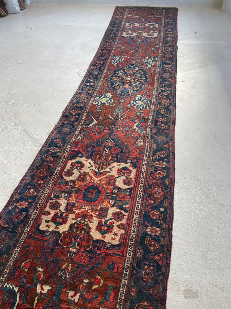 Beautiful Over-sized Extra Long Antique Persian Malayer - Beautiful Cypress Tree Runner with Clay, Amber, Rust Field | ~ 3.4 x 17