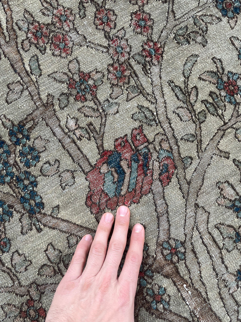 SOLD | MOTHER BIRD & 2 CHILDREN BIRDS | Tree of Life Esfahan | Cream, Walnut, Rust, Blue | 4.7 x 6.4