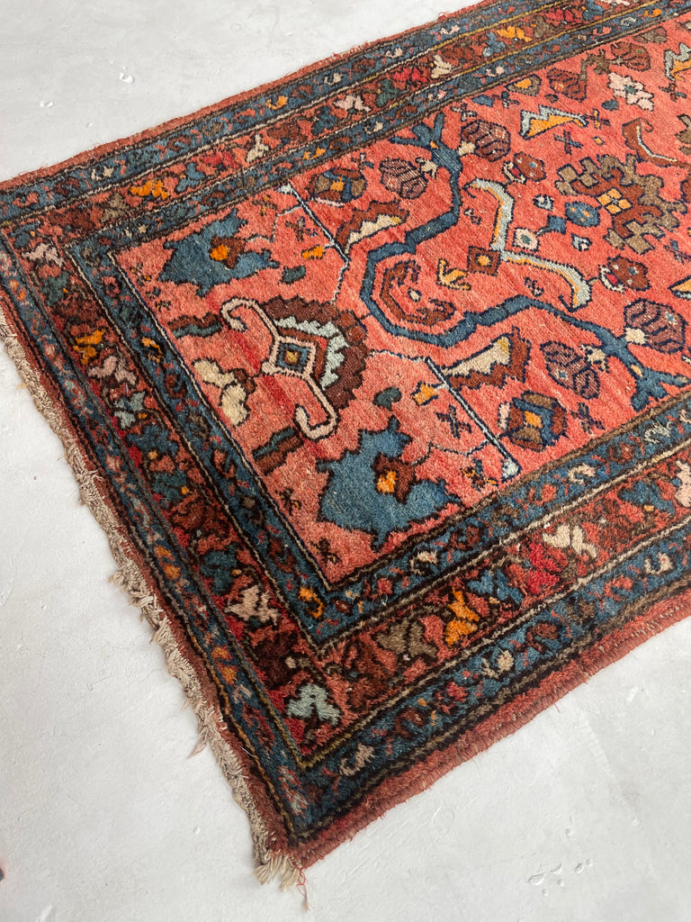 WATERMELON Lilihan Sarouk | UNREAL Color Palette | Aubergine, Cantaloup, Kiwi, More | 3.5 x 6.3