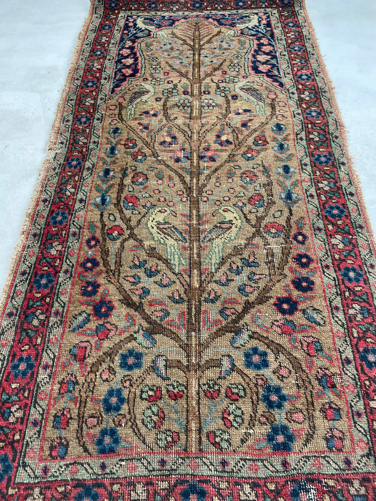 SOLD | WOW- 3 STAGES OF LOVE - Tree of Life Tabriz - Variations of Mocha, Walnut, Cashew, Etc. | 2.3 x 4.6
