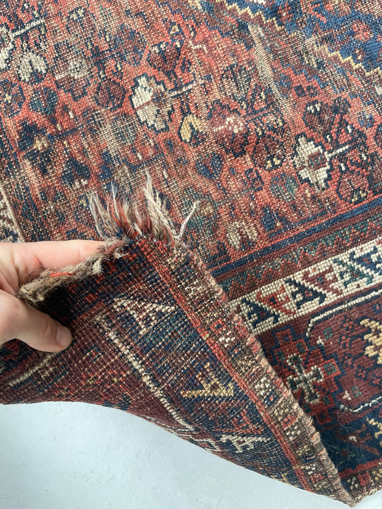 SOLD | BEYOND BEAUTIFUL Antique Southwest Persian Khamseh | Dark Denim & Terracotta | 7 x 10