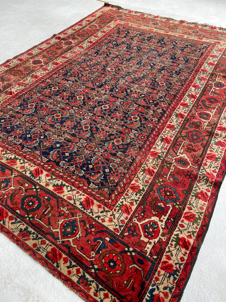 SOLD | FINE Antique Persian Malayer with Several Designs | Herati Field with Serapi Border | ~ 7 x 10